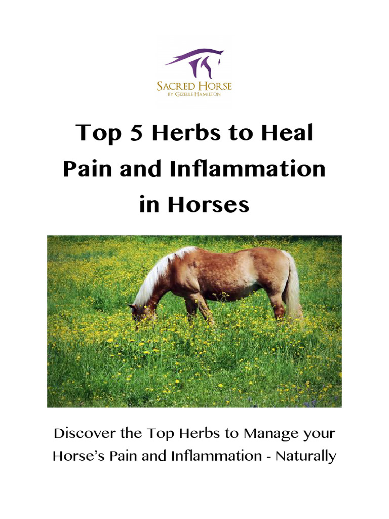 Top 5 Herbs To Heal Pain and Inflammation in Horses September 2016