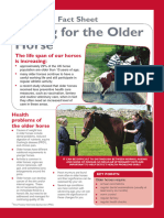 XLVets Equine Rebranded 009 Caring For The Older Horse Factsheet