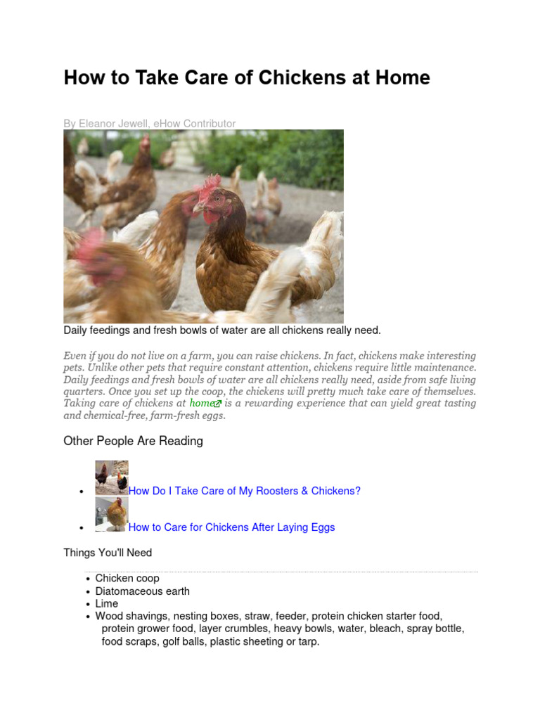 How To Take Care of Chickens at Home PDF