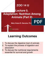 Lecture 5 Adaptation - Nutrition Part II