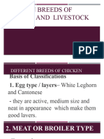 Common Breeds of Poultry and Livestock