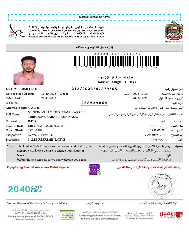 E Visa | PDF