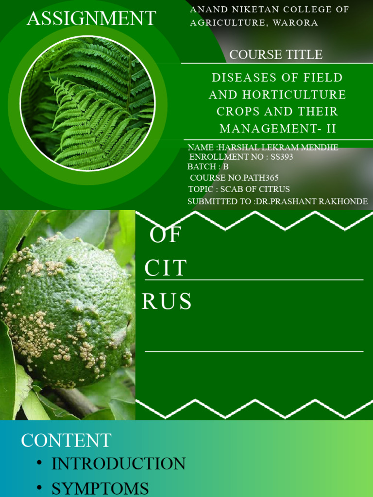 diseases-of-field-and-horticulture-crops-and-their-management-pdf