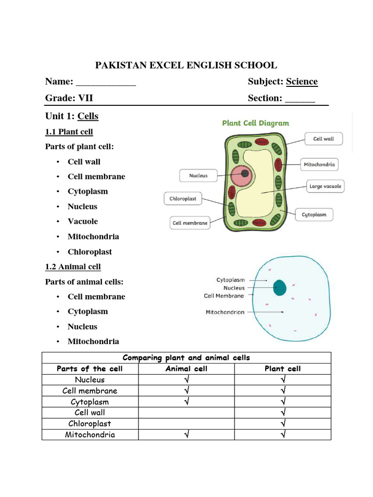 Notes 1 | PDF | Cell (Biology) | Tissue (Biology)