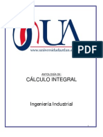 Calculo Integral