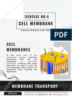 Exercise No.4: Cell Membrane