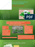 Informe Hoja de Llanten