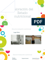 Estudio de La Alimentacion