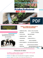 Informe de Practica Profesional BTPCF 2023