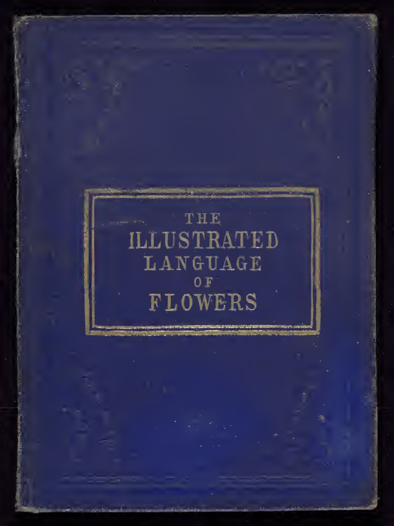 Illustrated - Language of Flowers | PDF | Poetry
