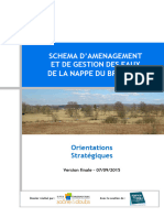 Rapport Orientations Strategiques Du Sage VF 07-09-2015