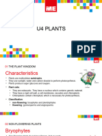 01.presentation PLANTS