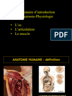 Anatomie Physiologie