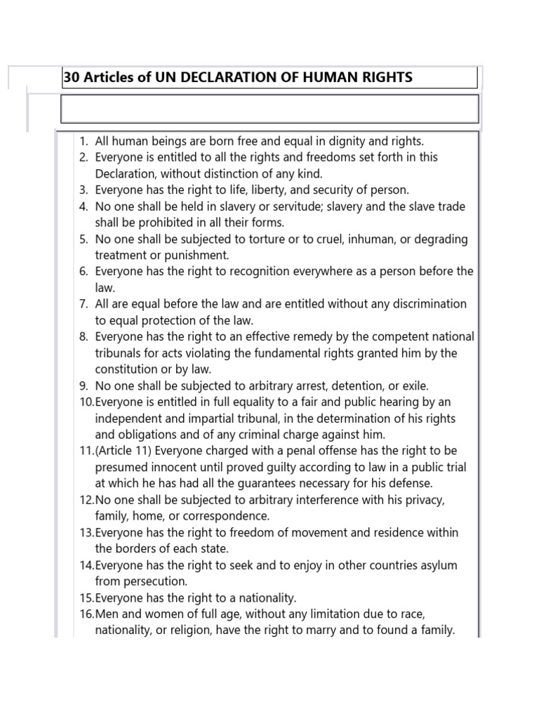UN Human Rights Declaration Summary | PDF | Ethical Principles | Government