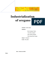 Industrialization of Oregano