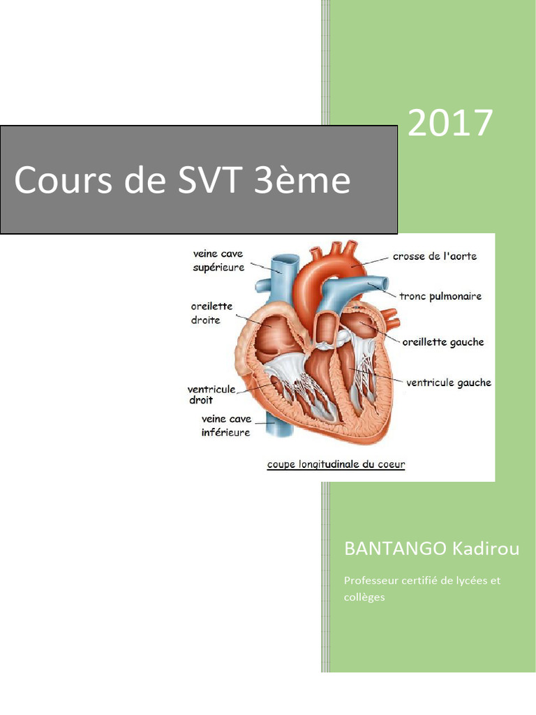 Coeur anatomie hi-res stock photography and images - Alamy, image size:768x1024