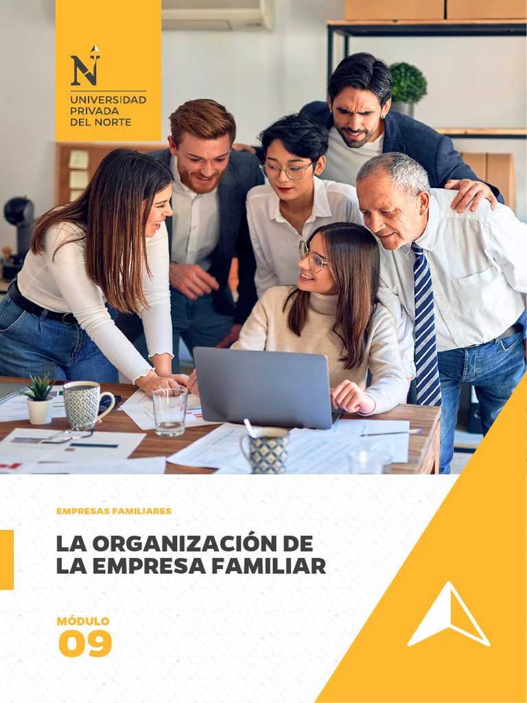 Estructura de Empresas Familiares | PDF | Business | Iniciativa empresarial