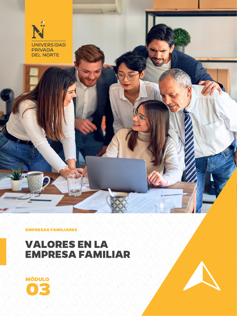 Valores en Empresas Familiares | PDF | Iniciativa empresarial | Business