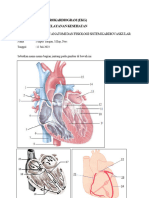 TUGAS 1 LEMBAR PENUGASAN Anatomi Dan Fisiologi Sistem Kardiovaskular