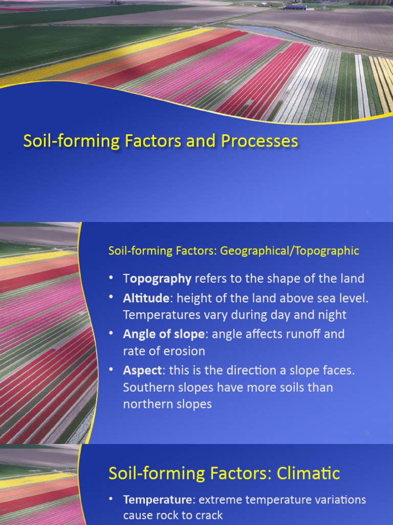 Soil Formation Factors and Processes | PDF