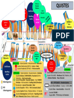 Quistes Odontologicos
