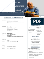 Curriculum-Vitae - JCSayalero