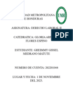 Organización en Relación Al Derecho Laboral