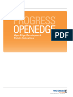 Openedge Development Mobile Applications Product - 59edeacf1723ddc769c559a4