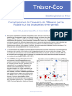 Conséquences de L'invasion de L'ukraine Par La Russie Sur Les Économies Émergentes - 2022