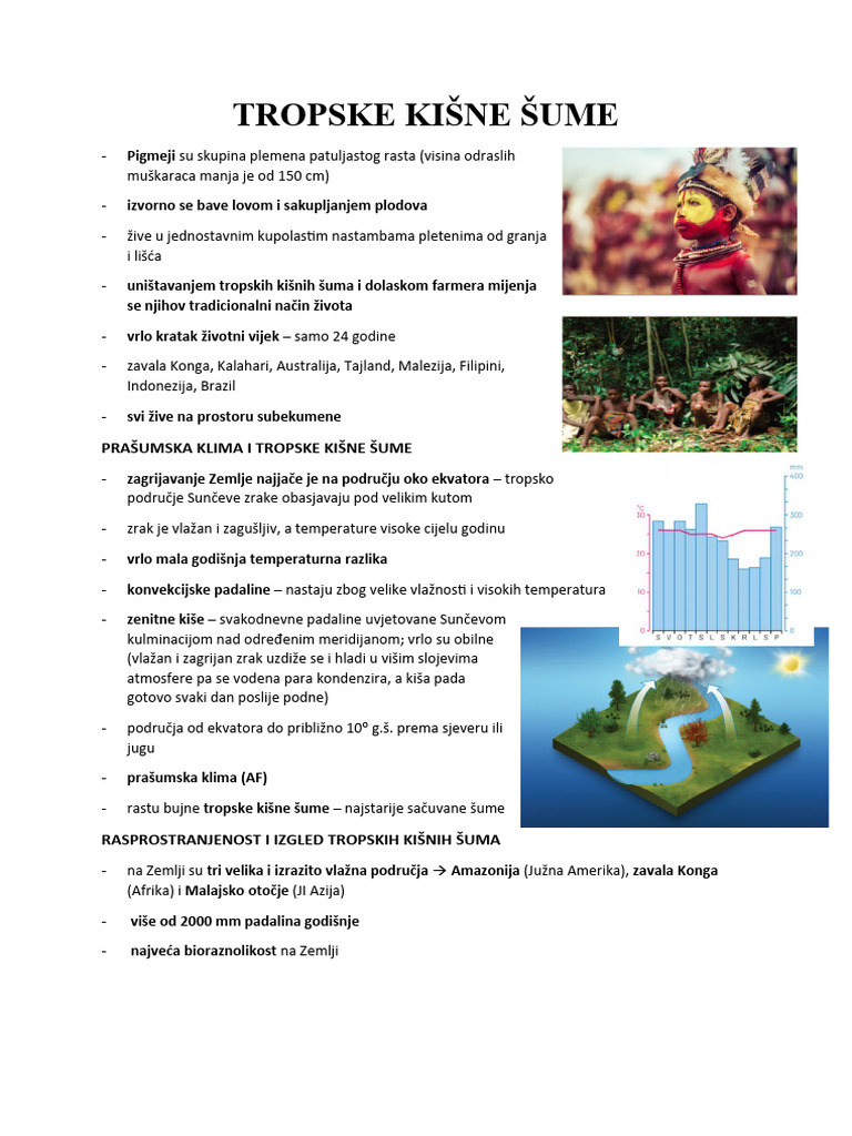 Tropske Kišne Šume | PDF