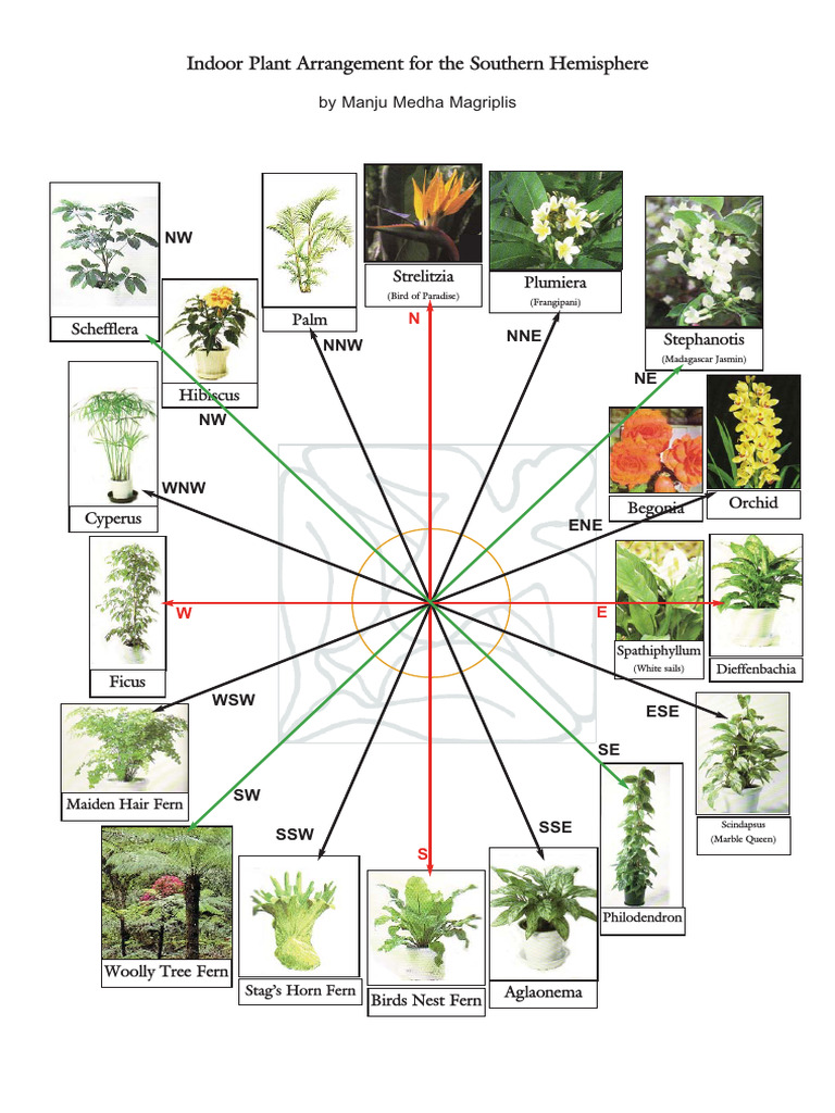 Indoor House Plants Vastu