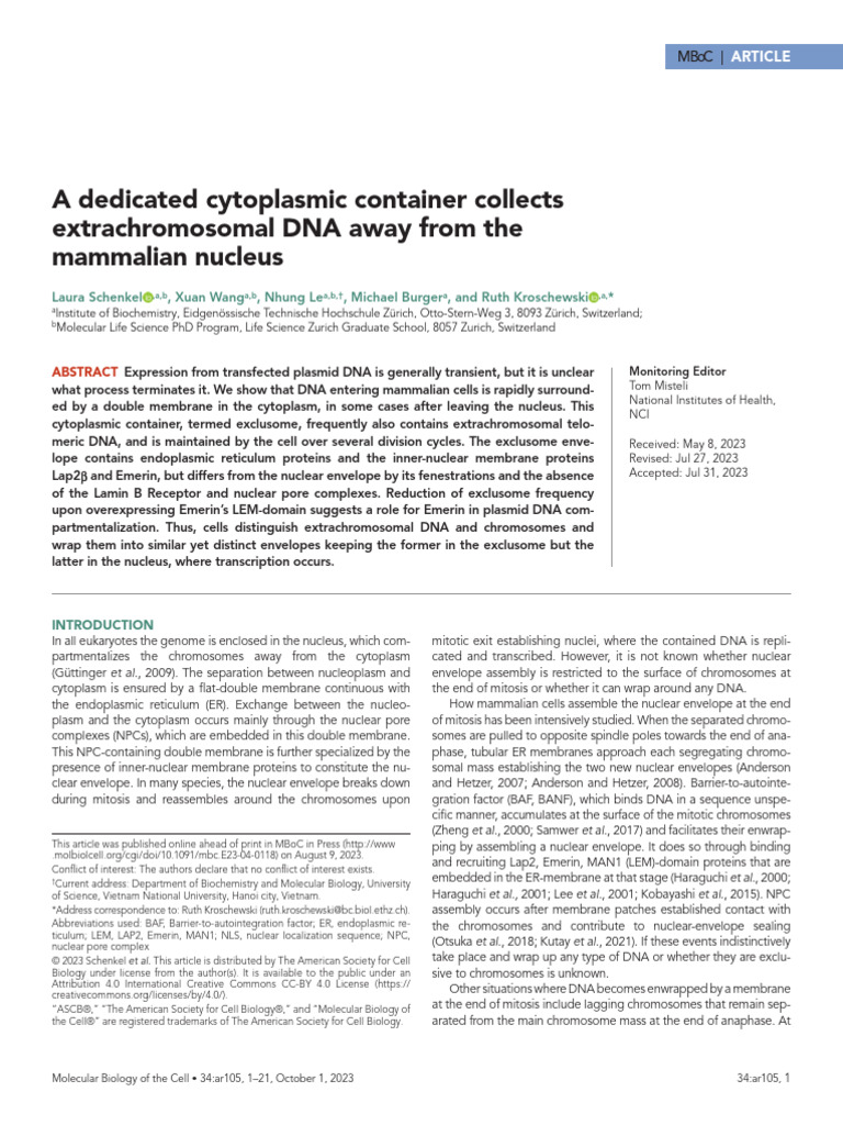 Schenkel Et Al 2023 A Dedicated Cytoplasmic Container Collects ...