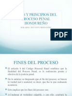 Unidad 2-Fines y Principios El Proceso Penal
