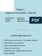 Tema 1 - Espacios Vectoriales - Matrices