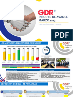 Informe de Avance GDR+ Marzo