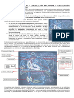 Fisiología - Parcial Iii - Circulación Pulmonar y Circulación Mayor - Transcripción