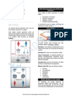 Taller N11 Meiosis y Mitosis