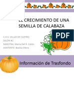 Proyecto Feria Ciencias