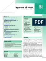 DENT297 Tooth Development 1