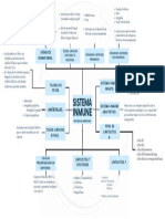 Histología Del Sistema Inmune