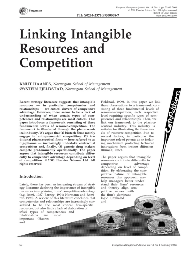 Linking Intangible Resources and Competition (European Management