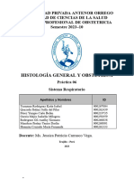 Guia Practica 06 Sistema Respiratorio Histología