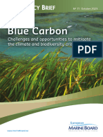 EMB PB11 Blue Carbon Web