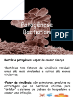 4patogenese Bacteriana