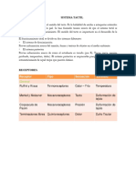 Sistema Tactil22