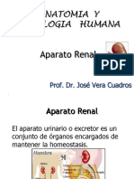 Aparato Renal