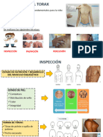 Examen de Torax Pulmon