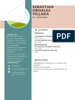 CV Con Foto Trabajo Formal Joven Verde