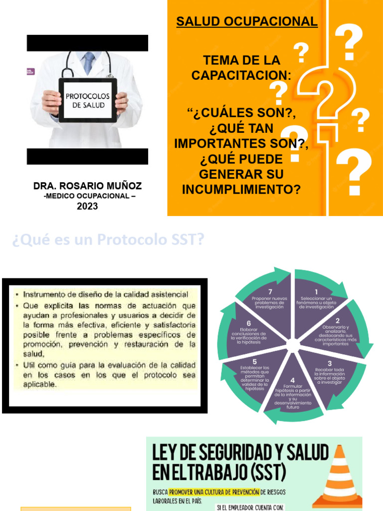 Importancia de Protocolos SST en Trabajo | PDF | Seguridad y salud ...