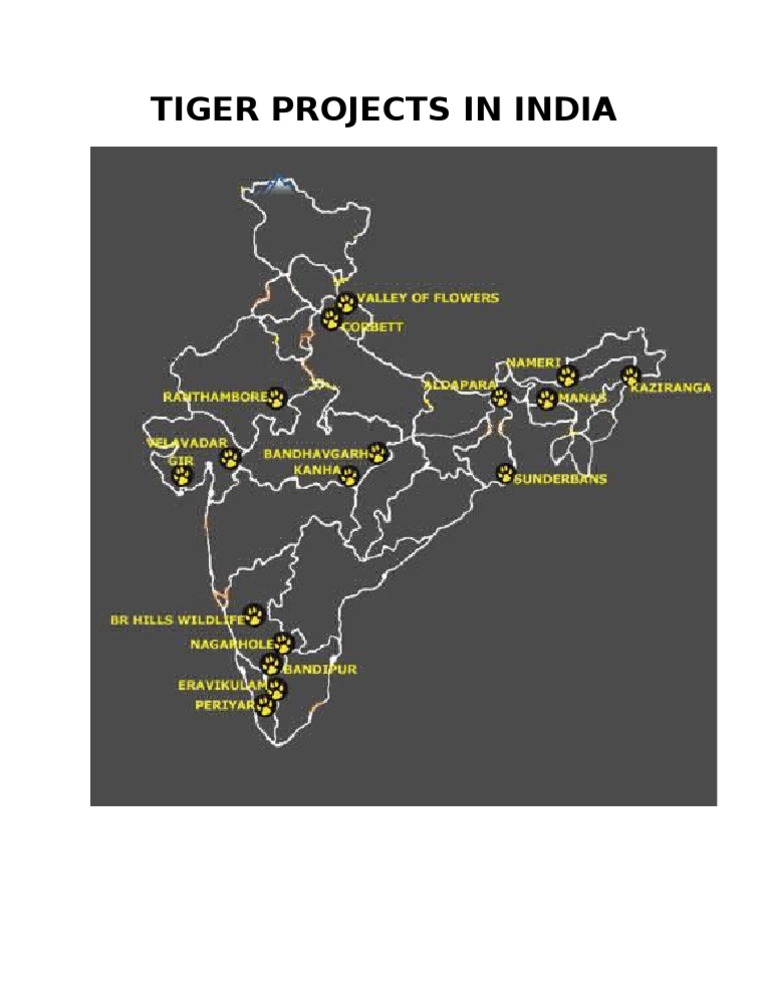 Tiger Project 2 | PDF
